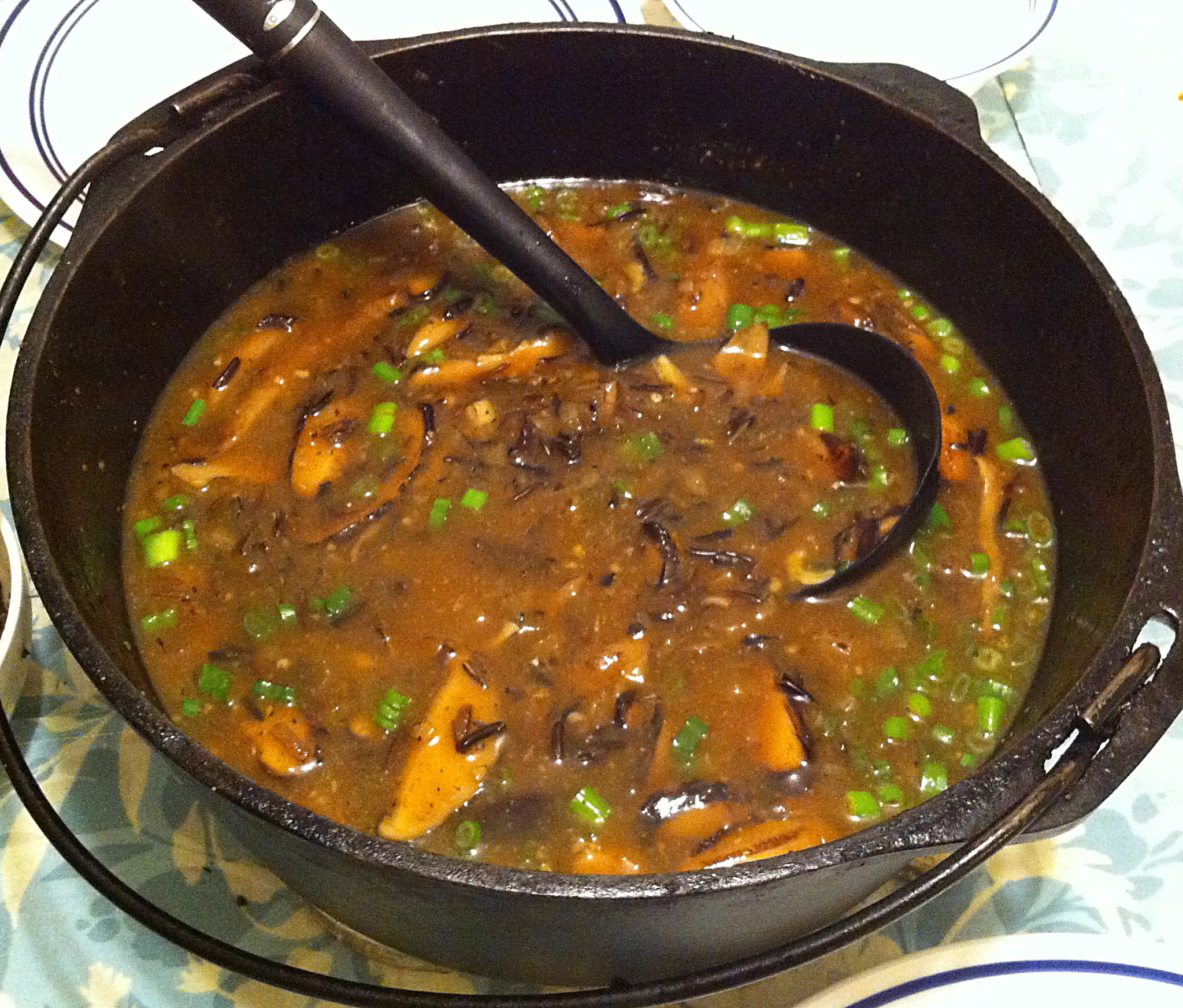 Asian Rice Soup 17