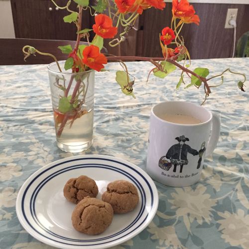 Chai with Jan’s Cardamom Triple Ginger Cookies