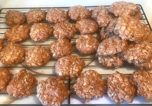 Karl’s Anzac Biscuits for Diabetics